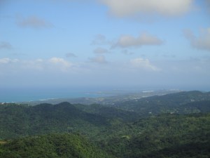 El Yunque Rainforest